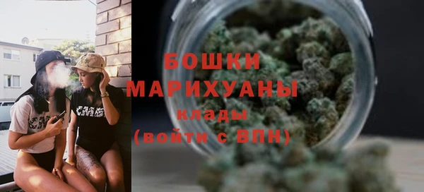 дмт Горно-Алтайск