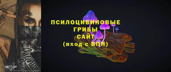 дурь Горнозаводск
