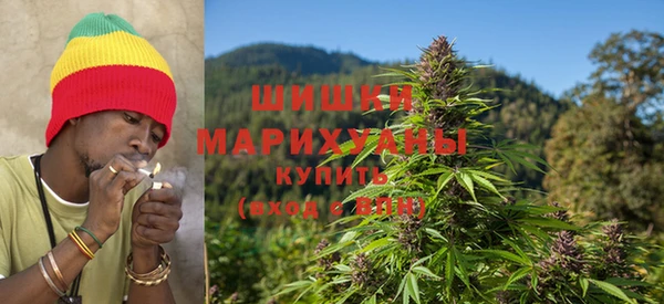 дурь Горнозаводск