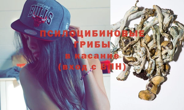 дмт Горно-Алтайск