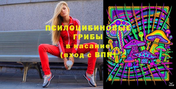 бутират Горняк