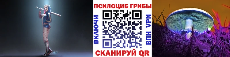 Галлюциногенные грибы прущие грибы  где найти наркотики  Ростов-на-Дону 
